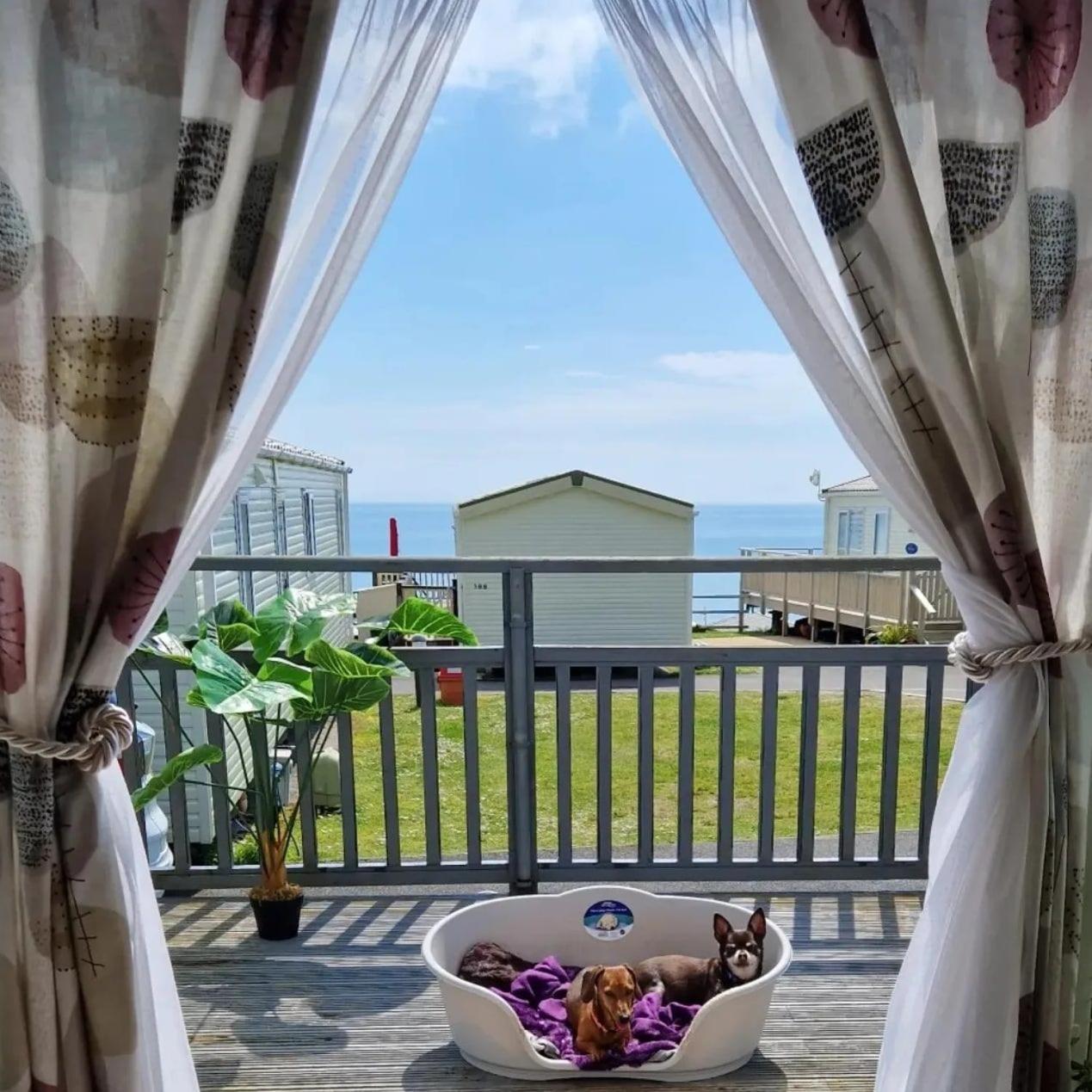 Lydstep Beach Village - 385 Bay View المظهر الخارجي الصورة